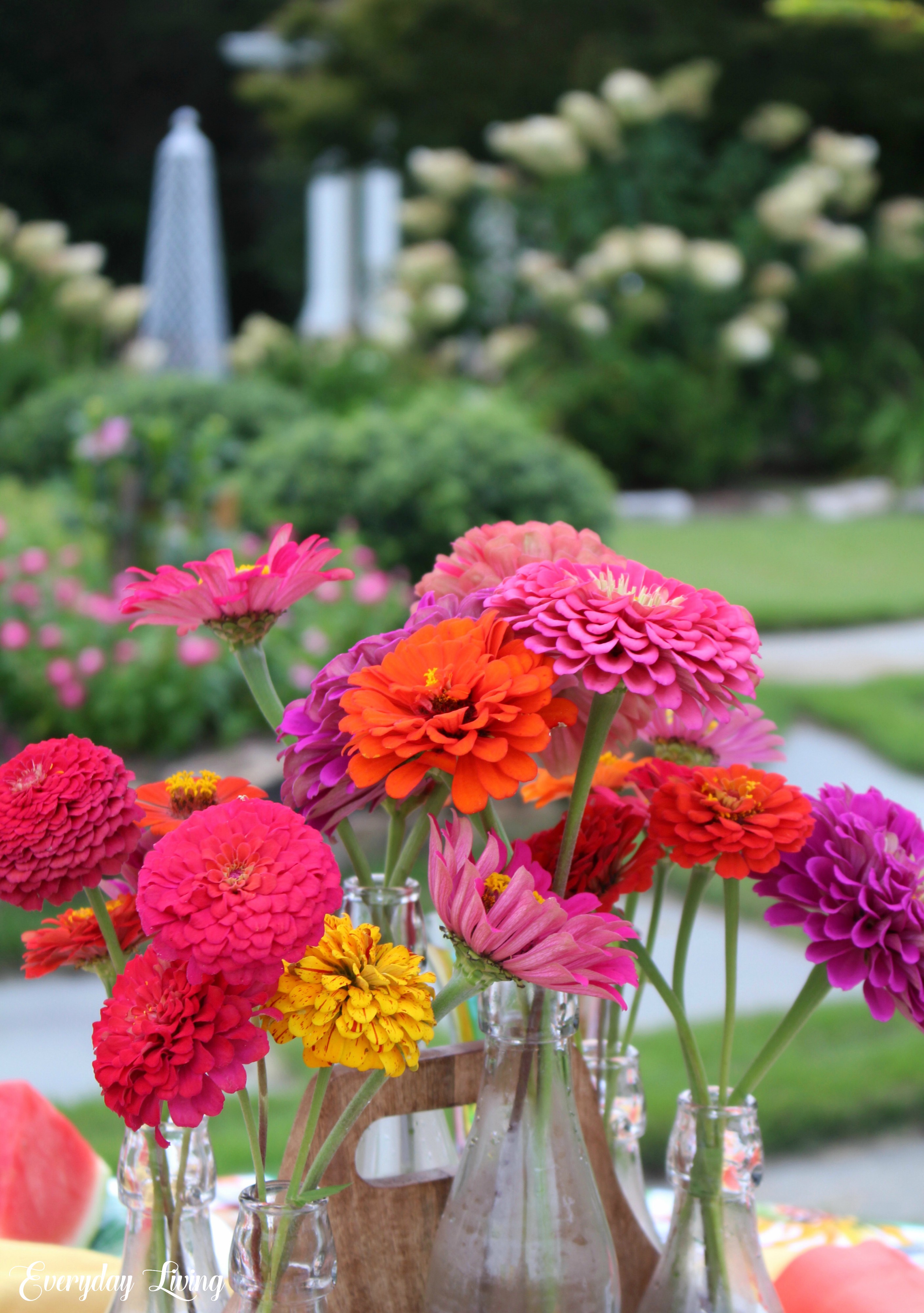 Zinnia Bouquet