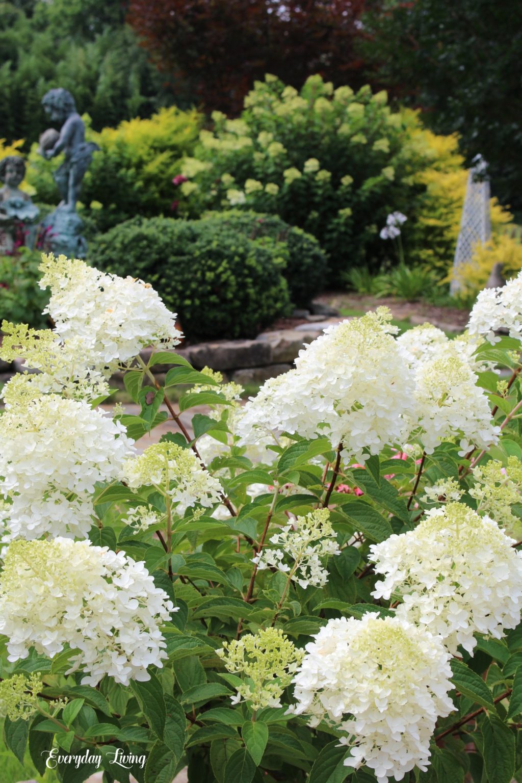 For The Love Of Hydrangeas